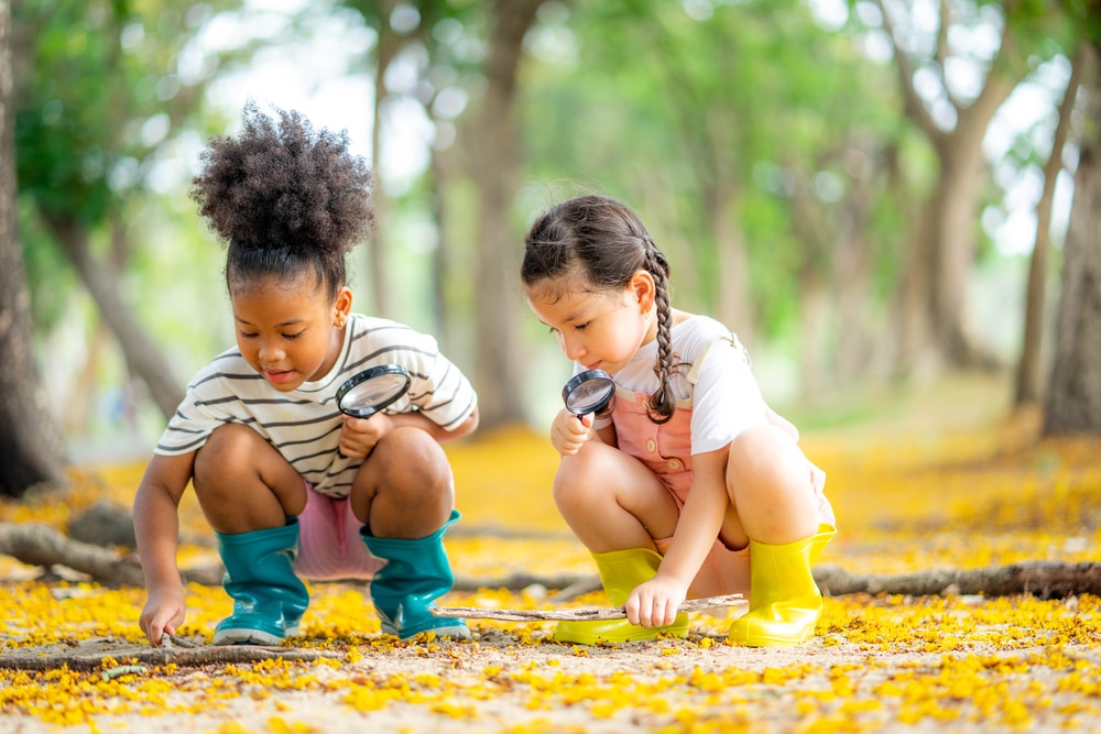 Children looking at the ground of a forest