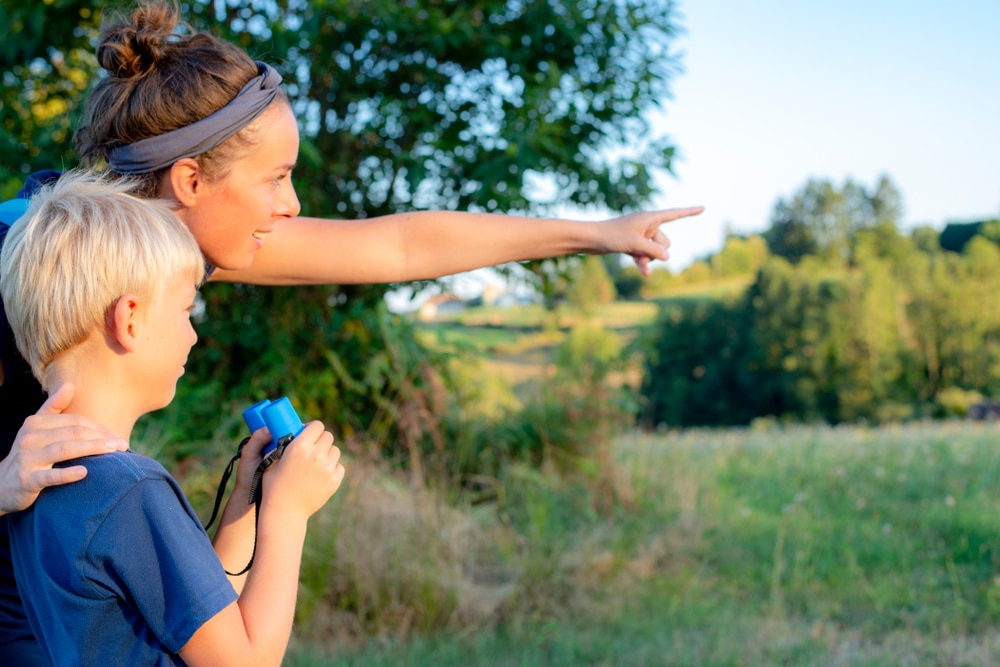 big schools birdwatch